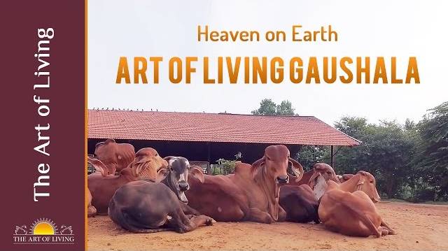 Gaushala